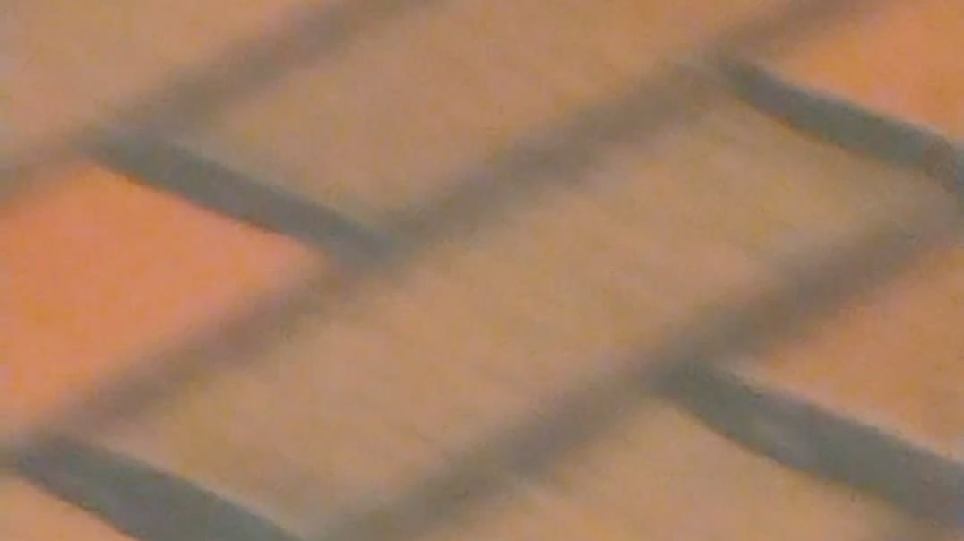Fastfood feet