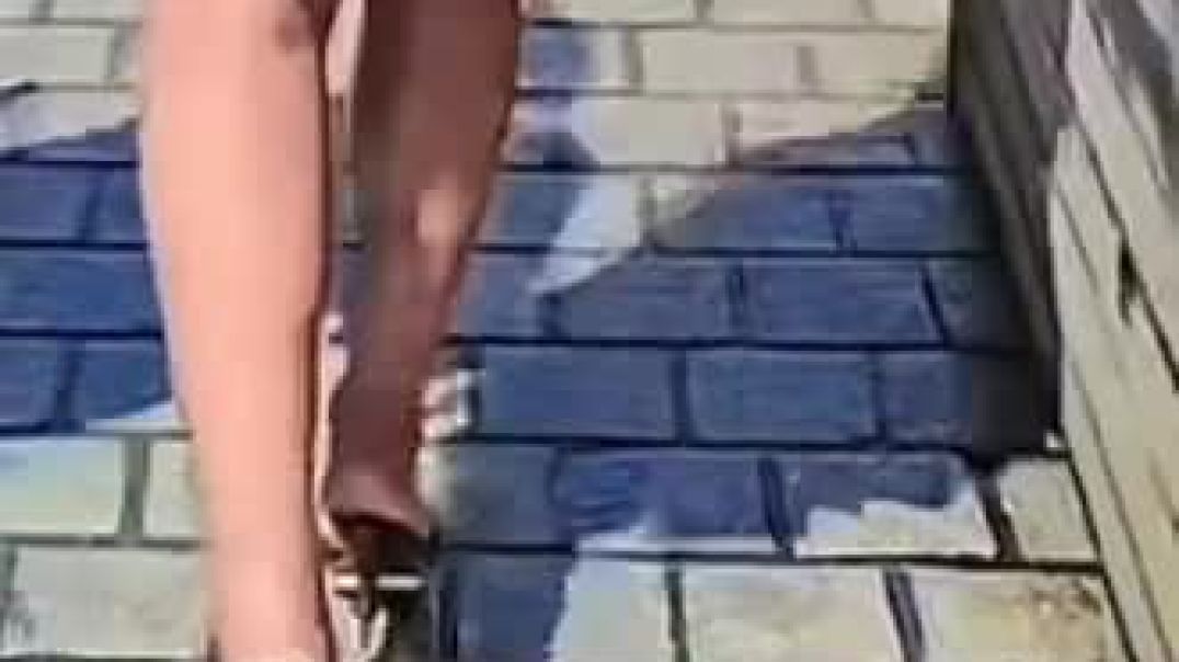 Mules on rough pavement