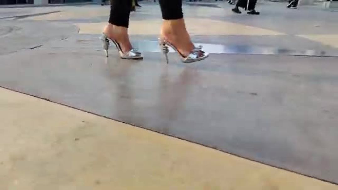 Silver mules