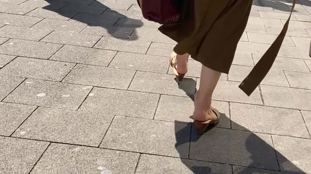 wooden mules